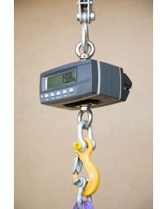 Rinstrum Trade Approved Digital Hanging Scale 300kg (H Scale)